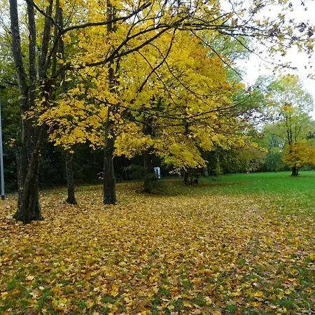 Fuer 4 Personen In * Strausberg