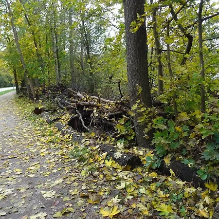 Fuer 4 Personen In Strausberg