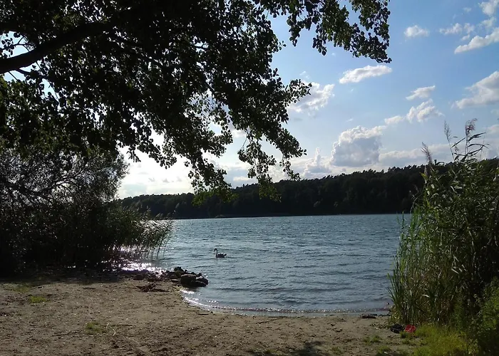 Fuer 4 Personen In شقة شتراوسبرغ