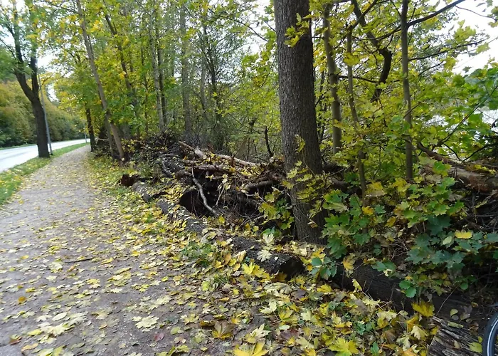 Fuer 4 Personen In شتراوسبرغ